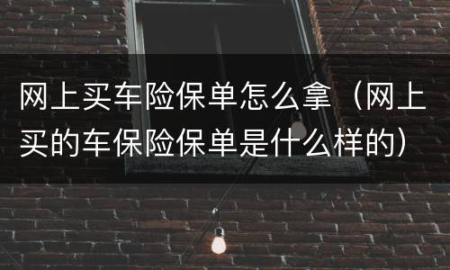 网上买车险保单怎么拿（网上买的车保险保单是什么样的）