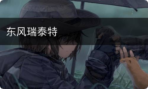 东风瑞泰特