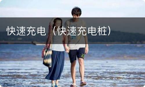 快速充电（快速充电桩）