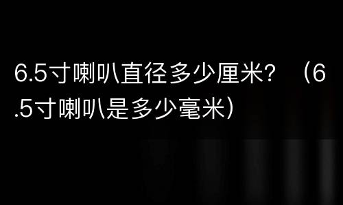 6.5寸喇叭直径多少厘米？（6.5寸喇叭是多少毫米）
