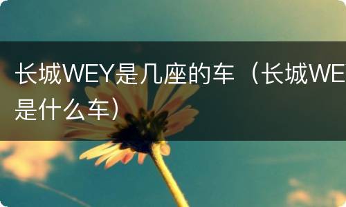 长城WEY是几座的车（长城WEY是什么车）
