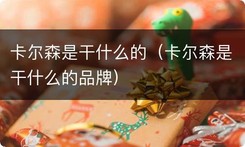 卡尔森是干什么的（卡尔森是干什么的品牌）
