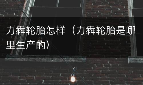 力犇轮胎怎样（力犇轮胎是哪里生产的）