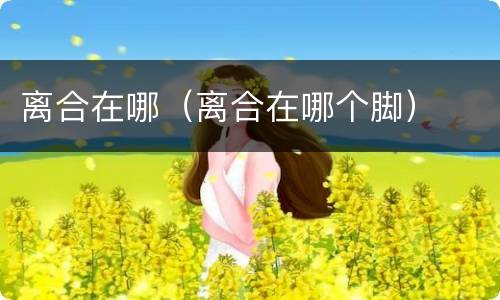 离合在哪（离合在哪个脚）