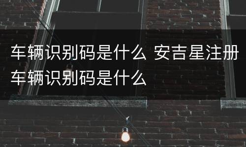 车辆识别码是什么 安吉星注册车辆识别码是什么