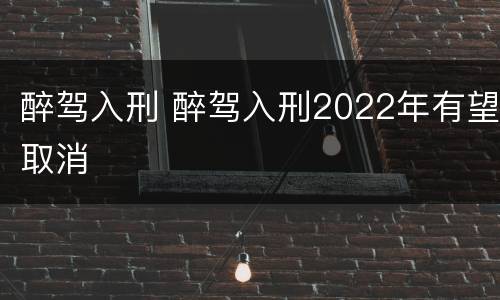 醉驾入刑 醉驾入刑2022年有望取消