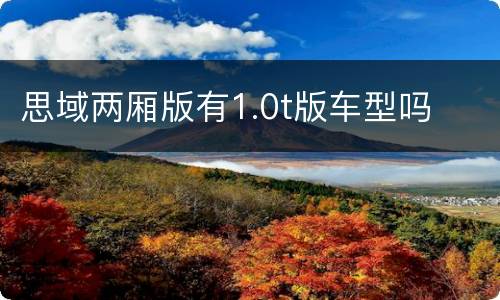 思域两厢版有1.0t版车型吗