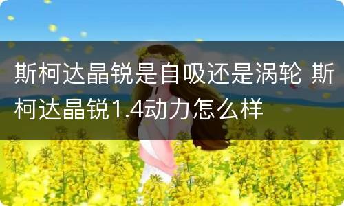 斯柯达晶锐是自吸还是涡轮 斯柯达晶锐1.4动力怎么样
