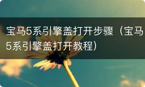 宝马5系引擎盖打开步骤（宝马5系引擎盖打开教程）