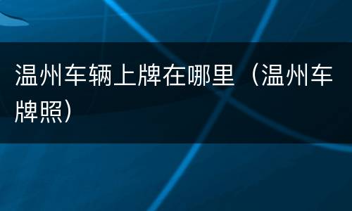 温州车辆上牌在哪里（温州车牌照）