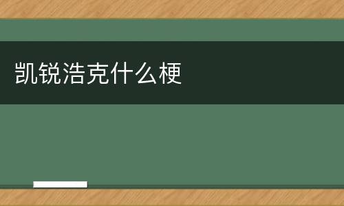 凯锐浩克什么梗