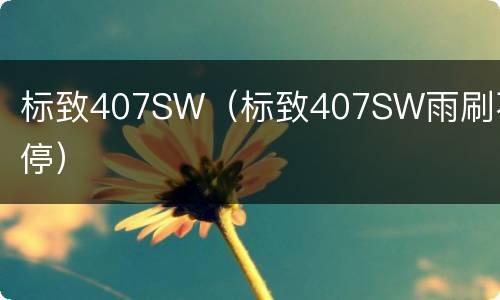 标致407SW（标致407SW雨刷不停）