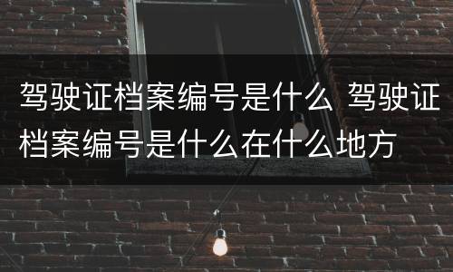驾驶证档案编号是什么 驾驶证档案编号是什么在什么地方