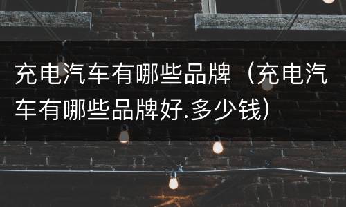 充电汽车有哪些品牌（充电汽车有哪些品牌好.多少钱）