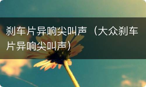 刹车片异响尖叫声（大众刹车片异响尖叫声）
