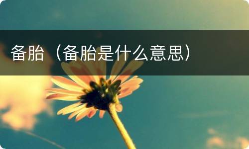 备胎（备胎是什么意思）
