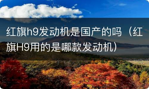 红旗h9发动机是国产的吗（红旗H9用的是哪款发动机）