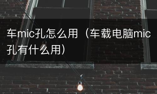 车mic孔怎么用（车载电脑mic孔有什么用）