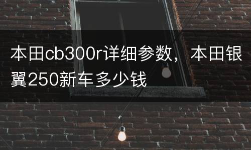 本田cb300r详细参数，本田银翼250新车多少钱