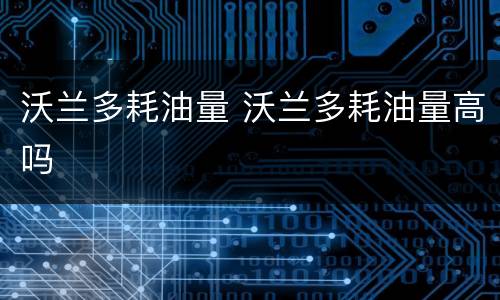 沃兰多耗油量 沃兰多耗油量高吗