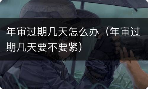 年审过期几天怎么办（年审过期几天要不要紧）