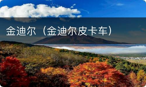 金迪尔（金迪尔皮卡车）