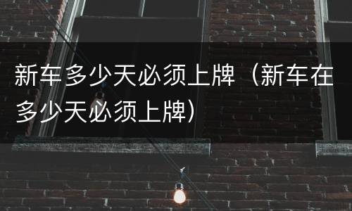 新车多少天必须上牌（新车在多少天必须上牌）