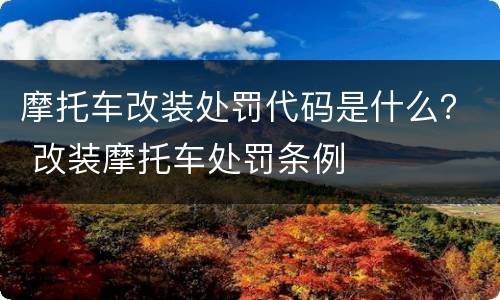 摩托车改装处罚代码是什么？ 改装摩托车处罚条例