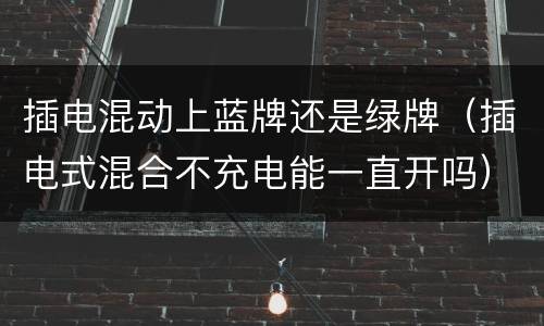 插电混动上蓝牌还是绿牌（插电式混合不充电能一直开吗）