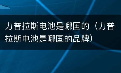 力普拉斯电池是哪国的（力普拉斯电池是哪国的品牌）