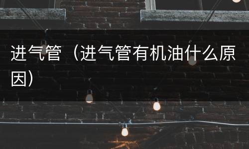 进气管（进气管有机油什么原因）