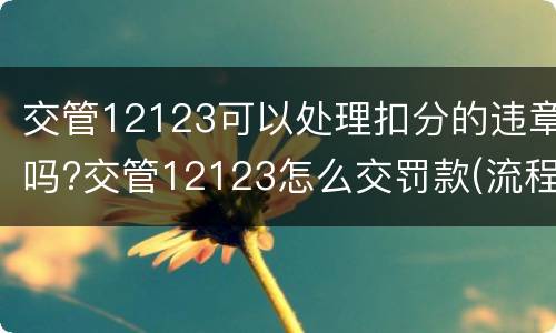交管12123可以处理扣分的违章吗?交管12123怎么交罚款(流程图)