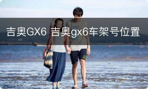 吉奥GX6 吉奥gx6车架号位置
