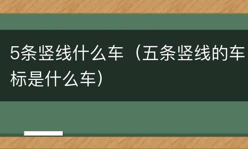 5条竖线什么车（五条竖线的车标是什么车）