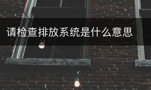 请检查排放系统是什么意思