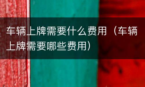 车辆上牌需要什么费用（车辆上牌需要哪些费用）