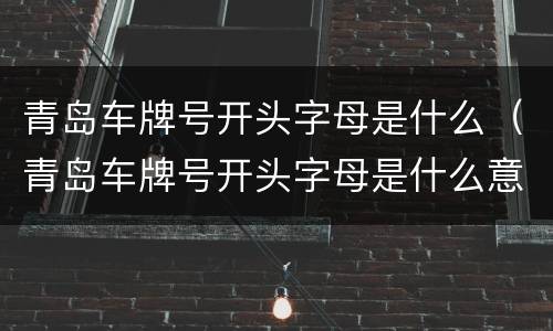 青岛车牌号开头字母是什么（青岛车牌号开头字母是什么意思）