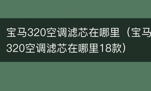 宝马320空调滤芯在哪里（宝马320空调滤芯在哪里18款）