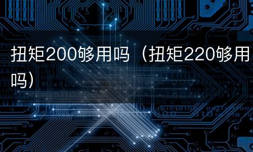 扭矩200够用吗（扭矩220够用吗）