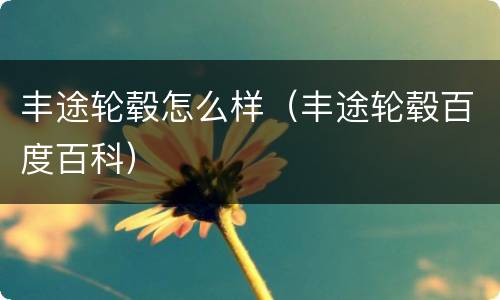 丰途轮毂怎么样（丰途轮毂百度百科）
