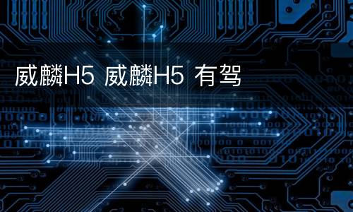 威麟H5 威麟H5 有驾