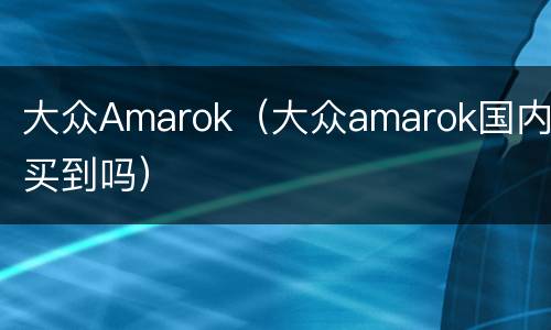 大众Amarok（大众amarok国内买到吗）