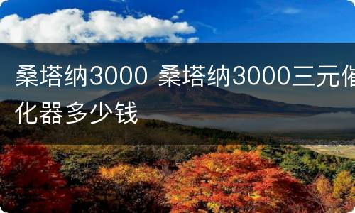 桑塔纳3000 桑塔纳3000三元催化器多少钱