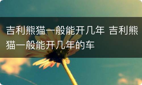吉利熊猫一般能开几年 吉利熊猫一般能开几年的车