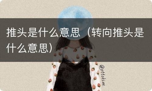 推头是什么意思（转向推头是什么意思）