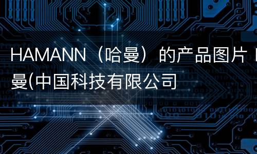 HAMANN（哈曼）的产品图片 哈曼(中国科技有限公司