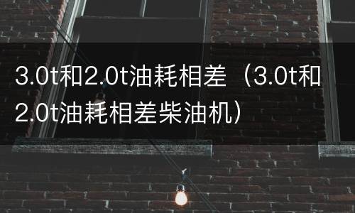 3.0t和2.0t油耗相差（3.0t和2.0t油耗相差柴油机）