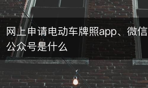 网上申请电动车牌照app、微信公众号是什么