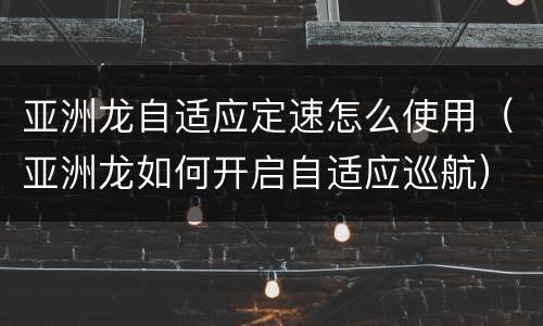 亚洲龙自适应定速怎么使用（亚洲龙如何开启自适应巡航）