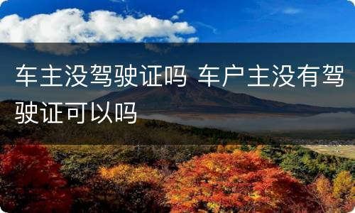 车主没驾驶证吗 车户主没有驾驶证可以吗